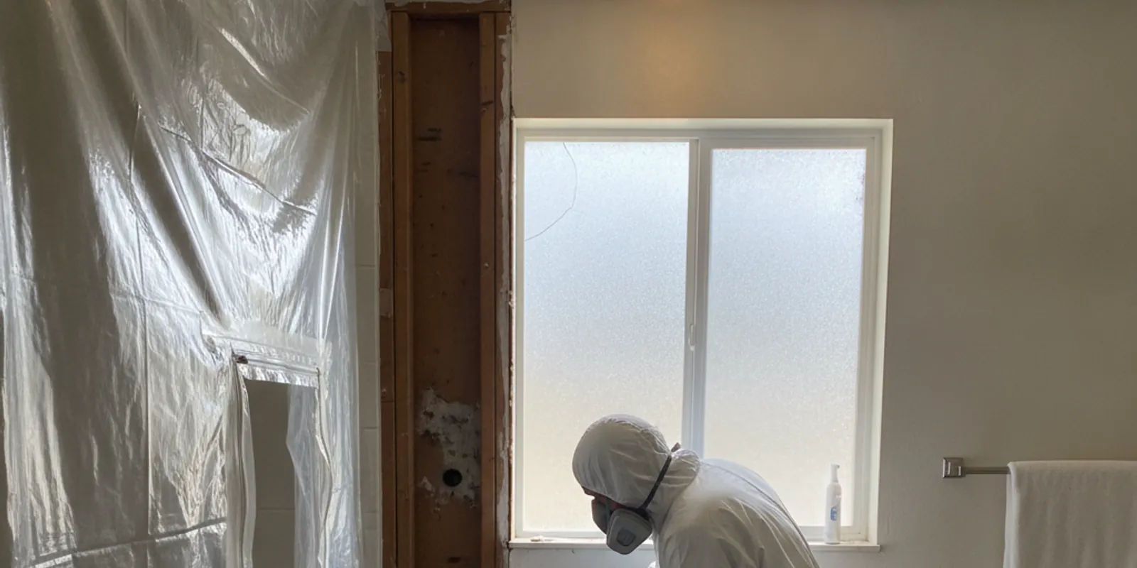 Mold Remediation